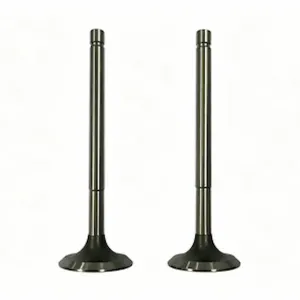 145701 Exhaust Valve For Cummins NTA855 Engine
