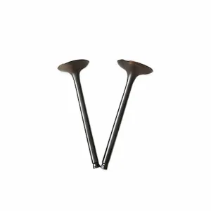 3802355 Cummins Intake Valve Kit For 4BT 6BT Engines