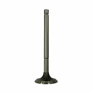 3803512 Intake Valve for Cummins NT855 Engines