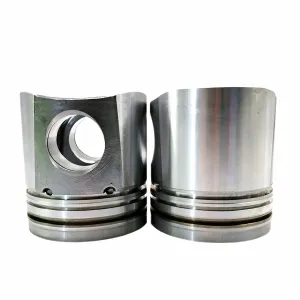 3919564 Cummins Piston Kit For 6CT8.3 6CTA8.3 Engines