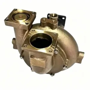 Genuine 4314820 Sea Water Pump for Cummins KTA38 And KTA50 Engines