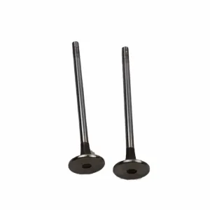 4955698 3000926 Intake Valve for Cummins NT855/NTA855 Series Engines   